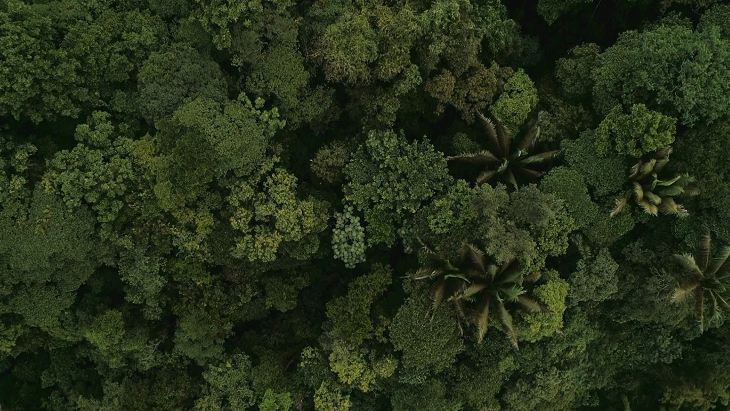 This Christmas, Mak Food Plants the Future: A New Chapter of Sustainable Impact 1 sostenibilidad-mak1
