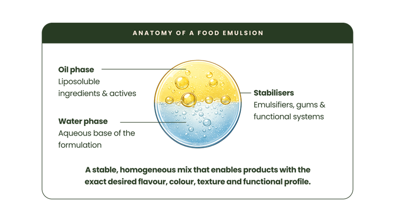 How Emulsions Drive Food Innovation 1 anatomy-food
