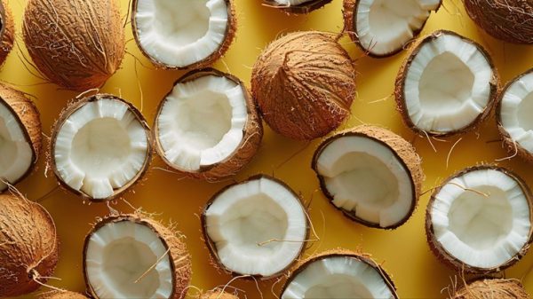 coconut