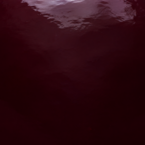 Blackcurrant Concentrate