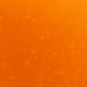 Orange Fruit Concentrate High Ratio